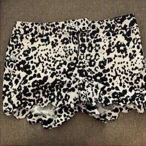 J Crew shorts